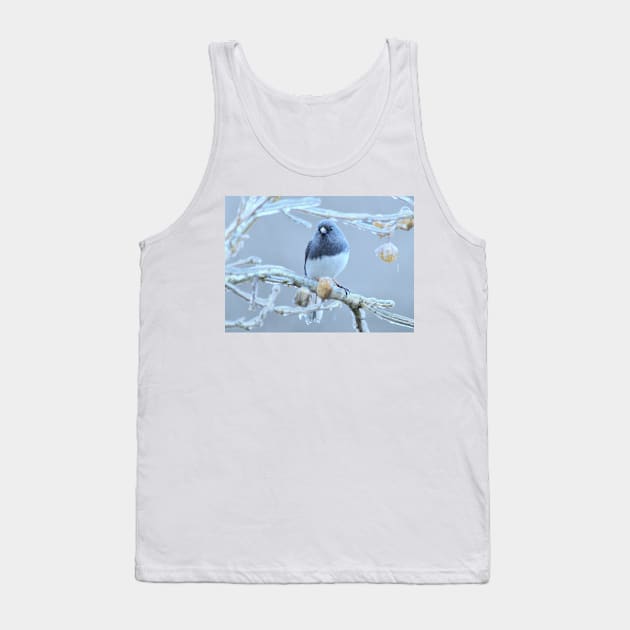 Junco  ~ after the ice storm Tank Top by LaurieMinor